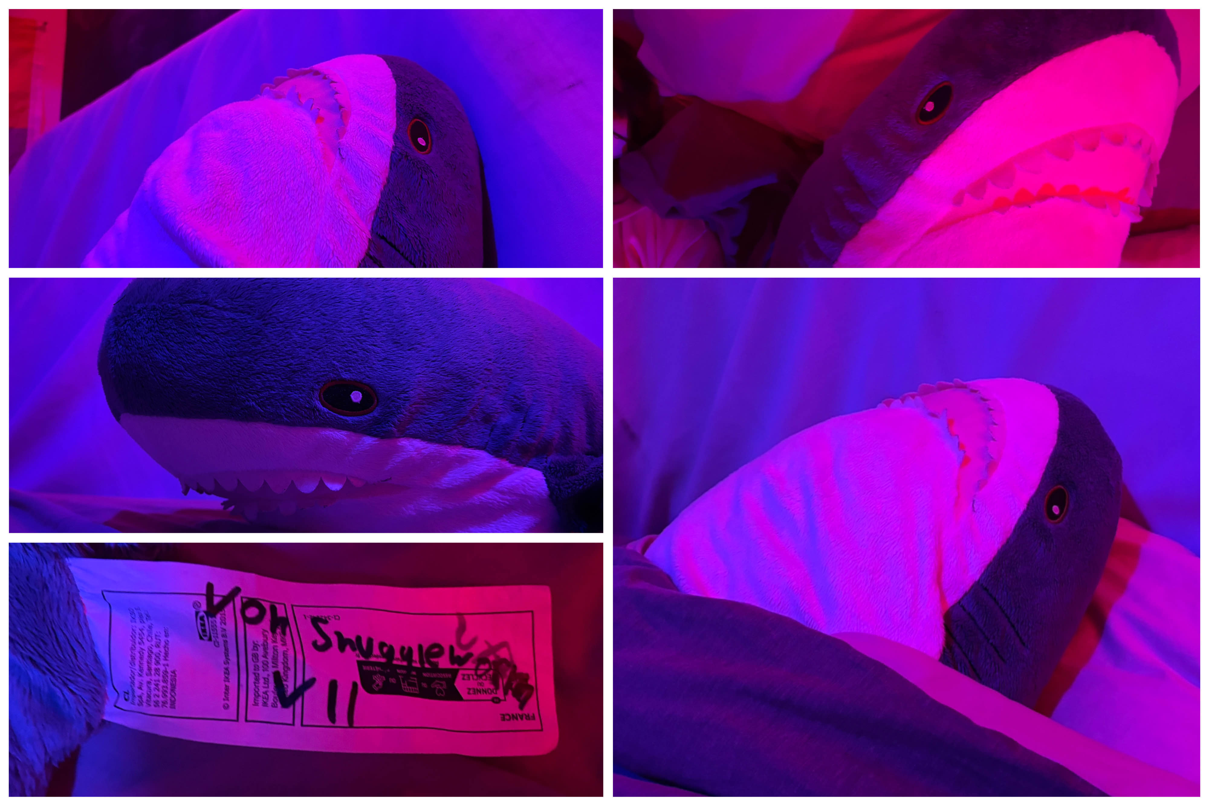 Von Snuggleworth VII